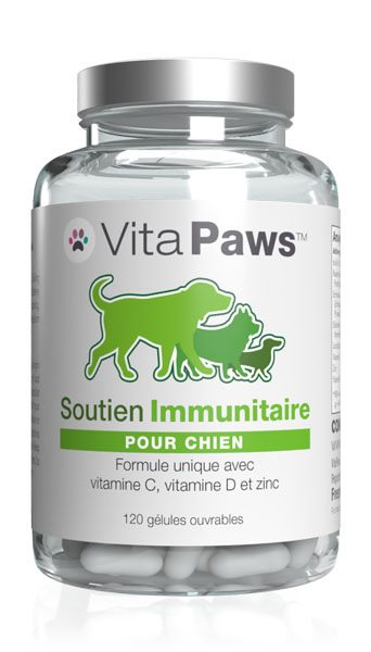 Soutien Immunitaire Pour chien
