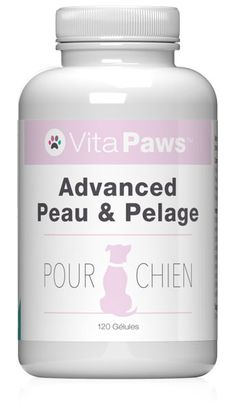 Advanced Peau & Pelage pour Chien