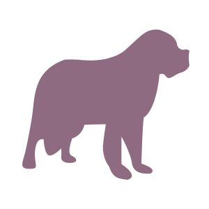 large dog